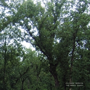 Buy Magic Place (2024 Remastered)