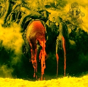 Buy Lust Of Consciousness