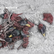 Buy A Sun Called Moon