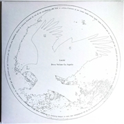 Buy Dove Volano Le Aquile