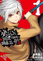 Buy Is It Wrong To Try To Pick Up Girls/2 V1