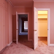 Buy Visitor - Bone Color Vinyl