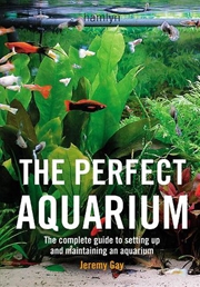 Buy The Perfect Aquarium