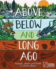 Buy Above, Below And Long Ago