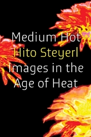 Buy Medium Hot: Images In The Age Of Heat