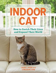 Buy Indoor Cat