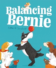 Buy Balancing Bernie