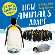Buy Zany Brainy Animals: How Anima