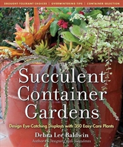 Buy Succulent Container Gardens