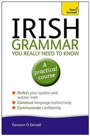 Buy Irish Grammar You Really Need to Know: Teach Yourself
