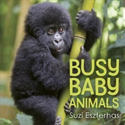 Buy Busy Baby Animals