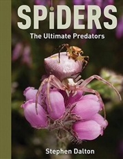 Buy Spiders: the Ultimate Predators