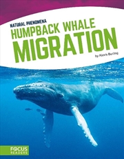 Buy Natural Phenomena: Humpback Whale Migration