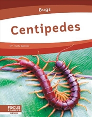 Buy Bugs: Centipedes