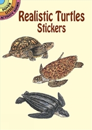 Buy Realistic Turtles Stickers