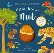 Buy Little, Brown Nut