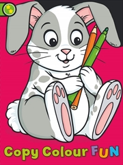 Buy Copy Colour Fun: Rabbit