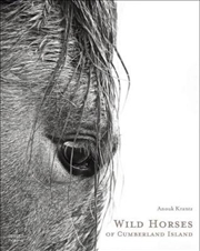 Buy Wild Horses of Cumberland Island