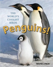 Buy Penguins! The World's Coolest Birds