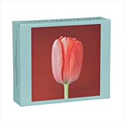 Buy Mapplethorpe Flowers: QuickNotes