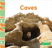 Buy Animal Homes: Caves