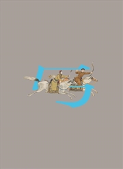 Buy Grand Gallop - Art and Culture of the Horse