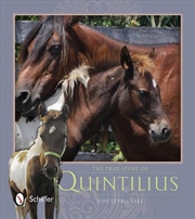 Buy True Story of Quintilius