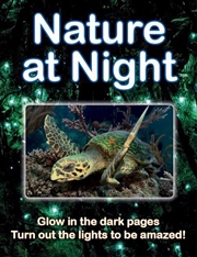 Buy Nature at Night