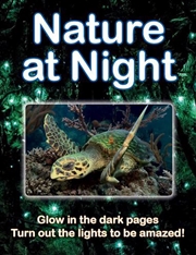 Buy Nature at Night