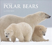 Buy Polar Bears - A Life Under Threat