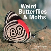 Buy Weird Butterflies and Moths
