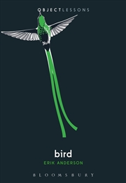Buy Bird