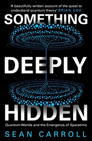 Buy Something Deeply Hidden