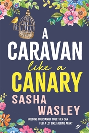 Buy A Caravan Like A Canary