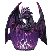 Buy Edge Lit Dragon Egg - Purple
