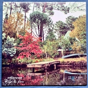 Buy Rugen Las Flores