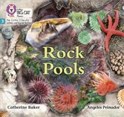 Buy Rock Pools  - Phase 3 Set 1