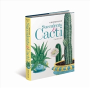 Buy A Splendour Of Succulents & Cacti