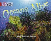 Buy Oceans Alive : Band 14/Ruby