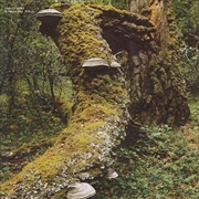 Buy Kosmischer Pitch