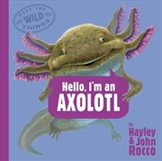 Buy Hello, I'm An Axolotl (Meet The Wild Things, Book 4)
