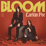 Buy Bloom