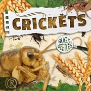 Buy Crickets