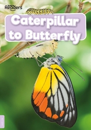 Buy Caterpillar To Butterfly
