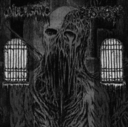 Buy Split Lp