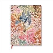 Buy Anemone (William Kilburn) Mini Lined Softcover Flexi Journal (Elastic Band Closure)