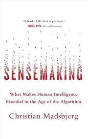 Buy Sensemaking