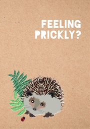 Buy Feeling Prickly Journal