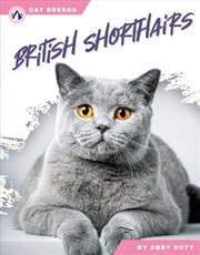 Buy Cat Breeds: British Shorthairs
