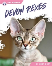 Buy Cat Breeds: Devon Rexes